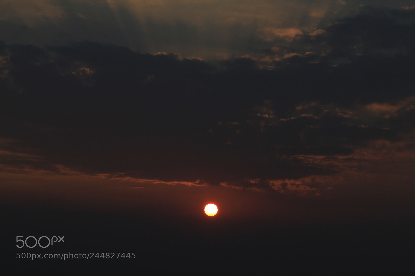 Canon EF-S 55-250mm F4-5.6 IS II sample photo. Untitled photography