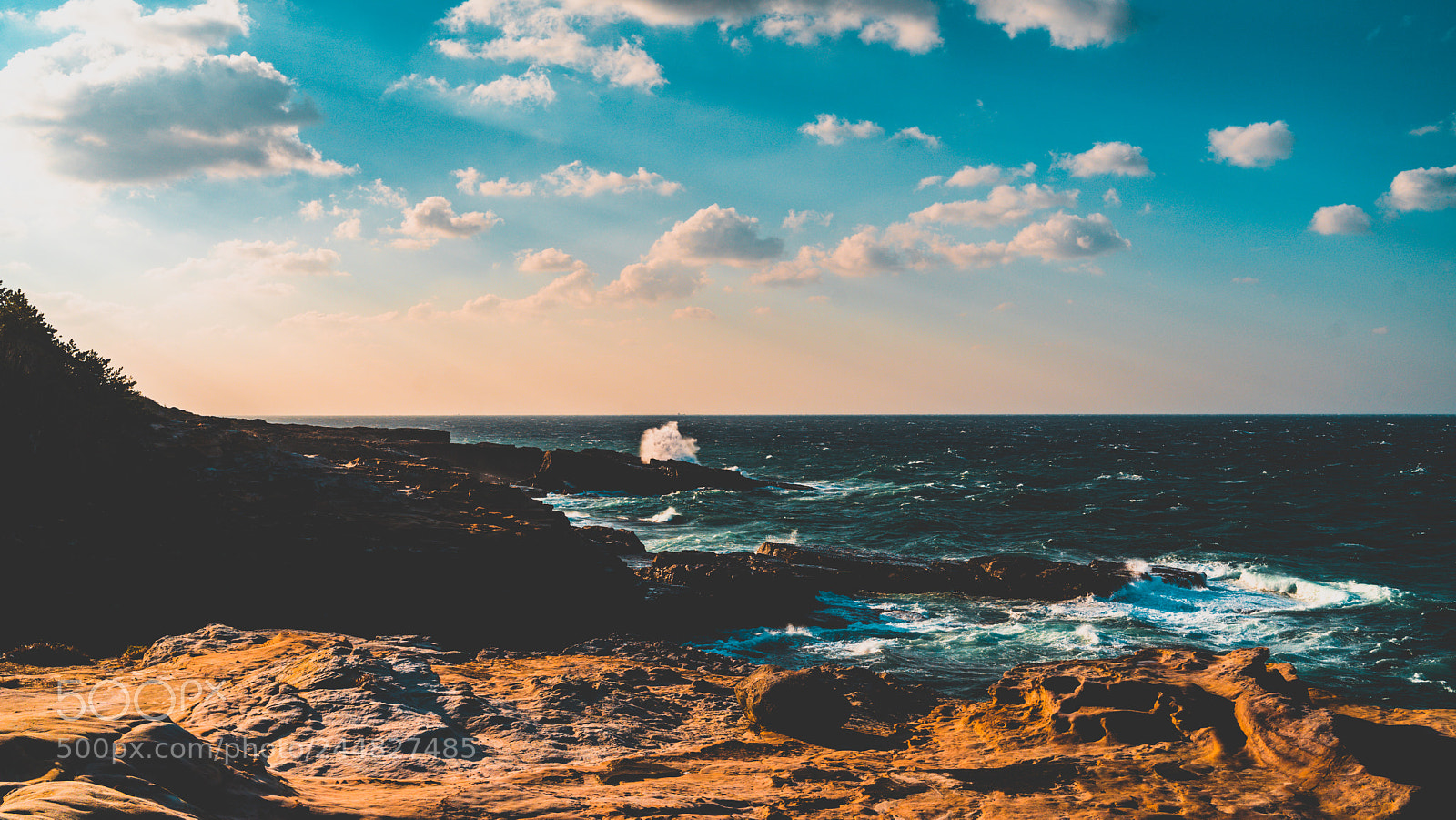 Sony a7 II sample photo. Wakayama - winter 2017 photography