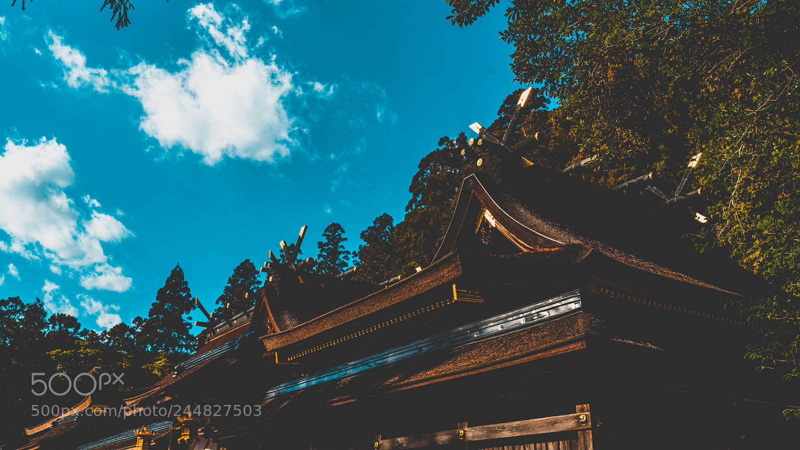 Sony a7 II sample photo. Wakayama - winter 2017 photography
