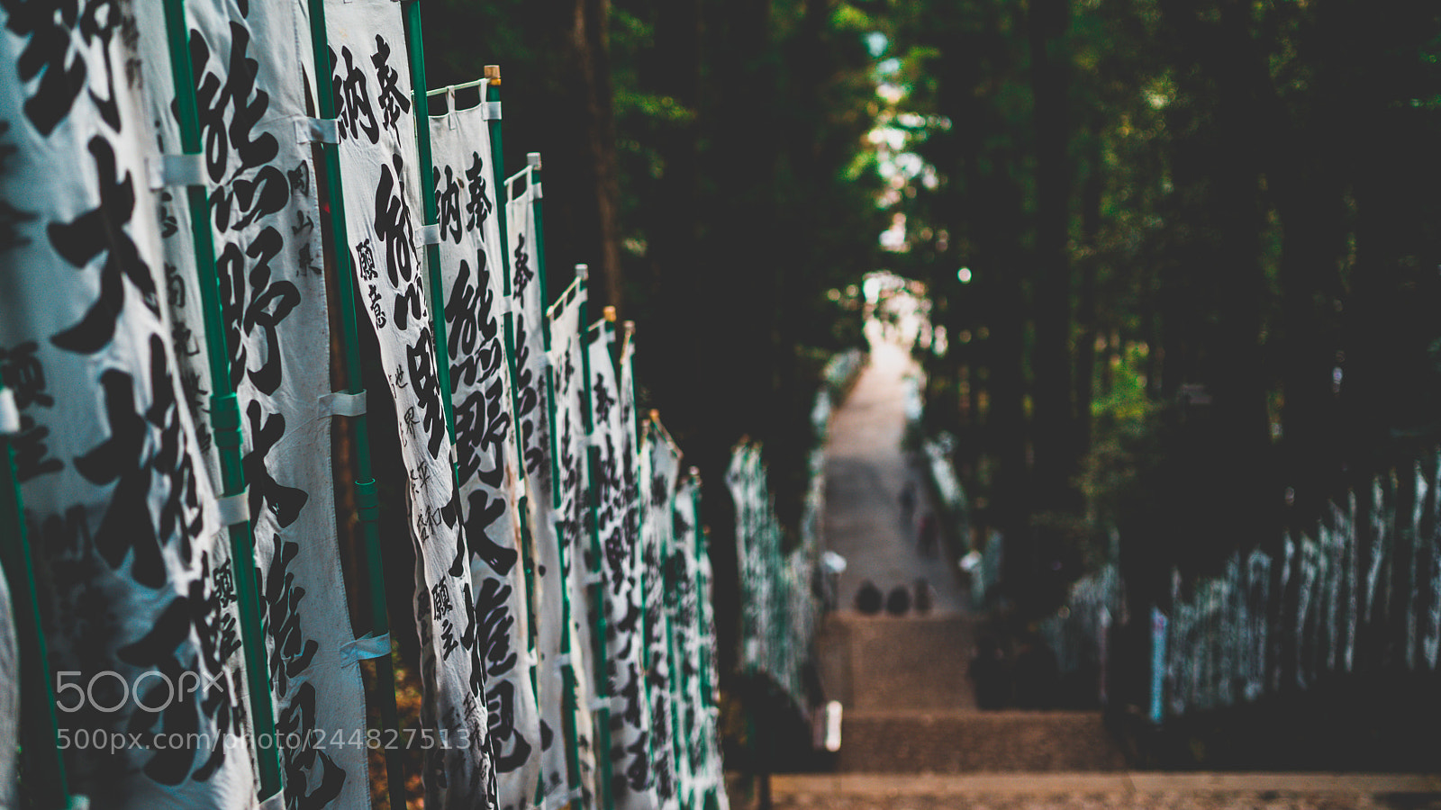 Sony a7 II sample photo. Wakayama - winter 2017 photography