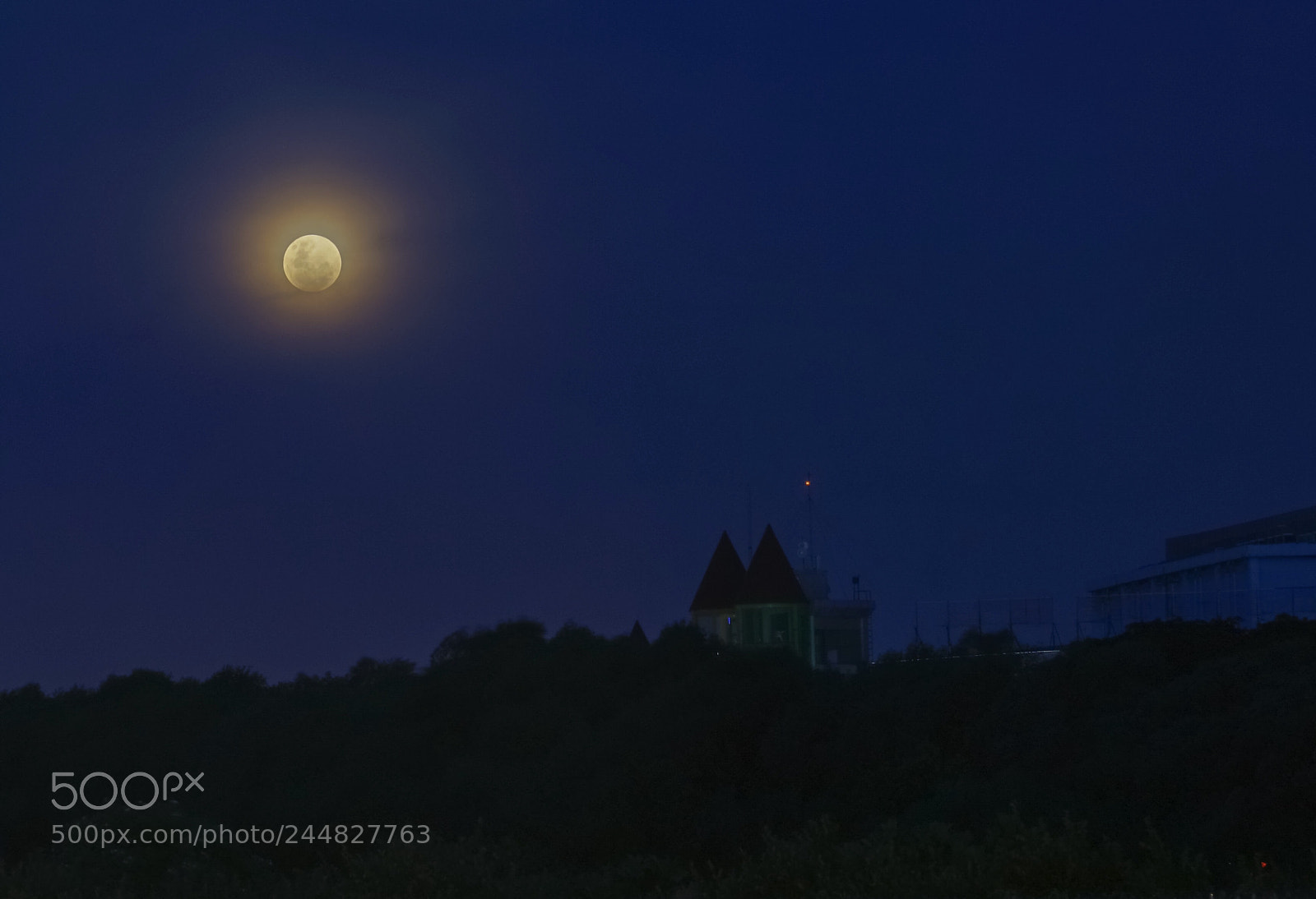 Sony a7R II sample photo. Untitled photography