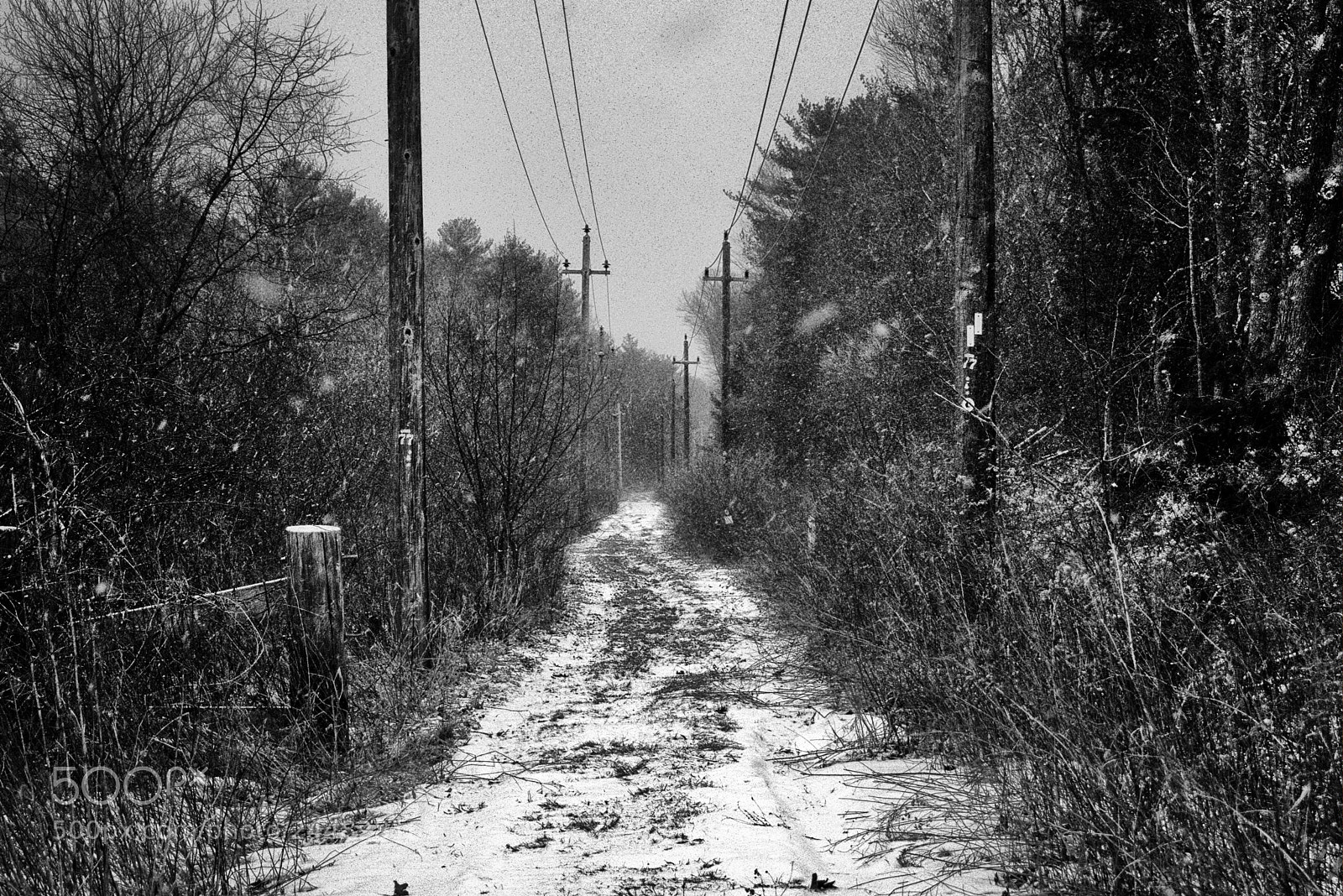Nikon D3400 sample photo. The trail photography
