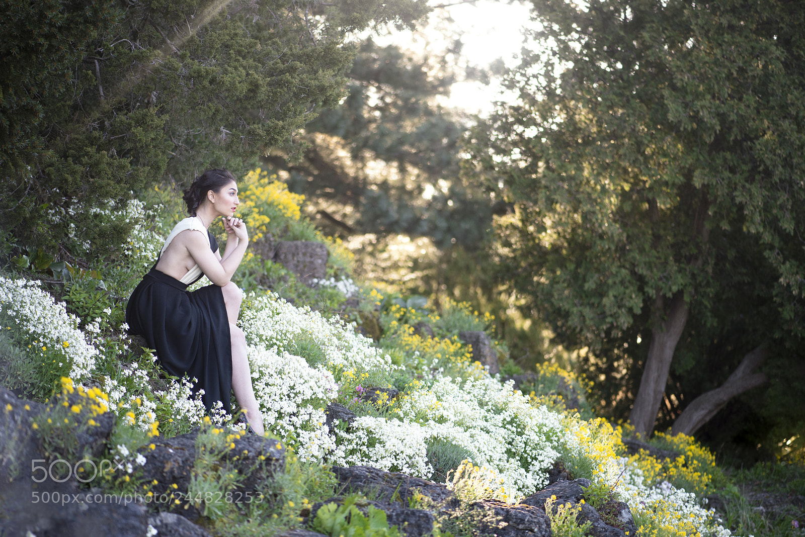 Nikon D800 sample photo. Spring sunset photography