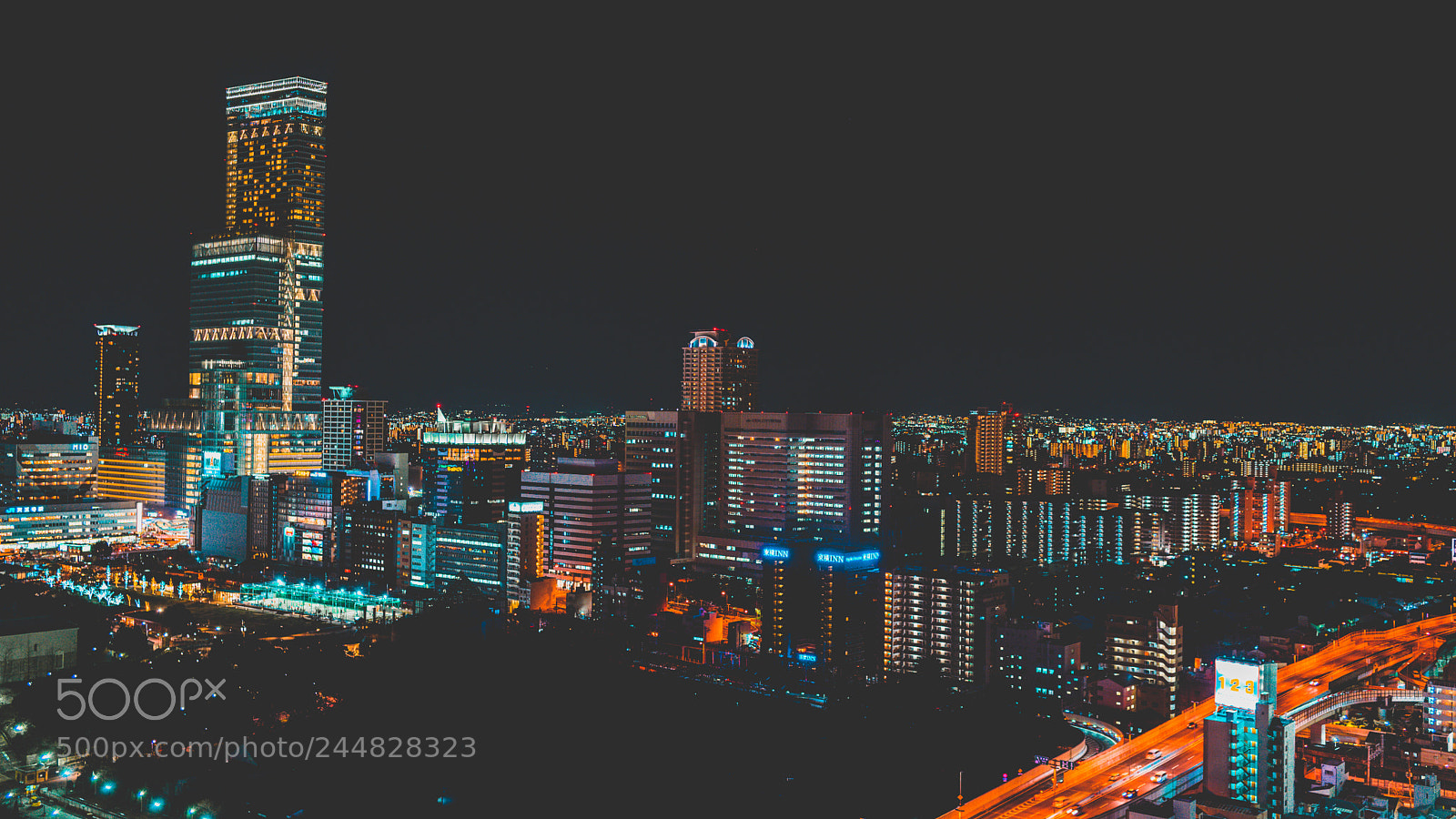 Sony a7 II sample photo. Osaka by night photography