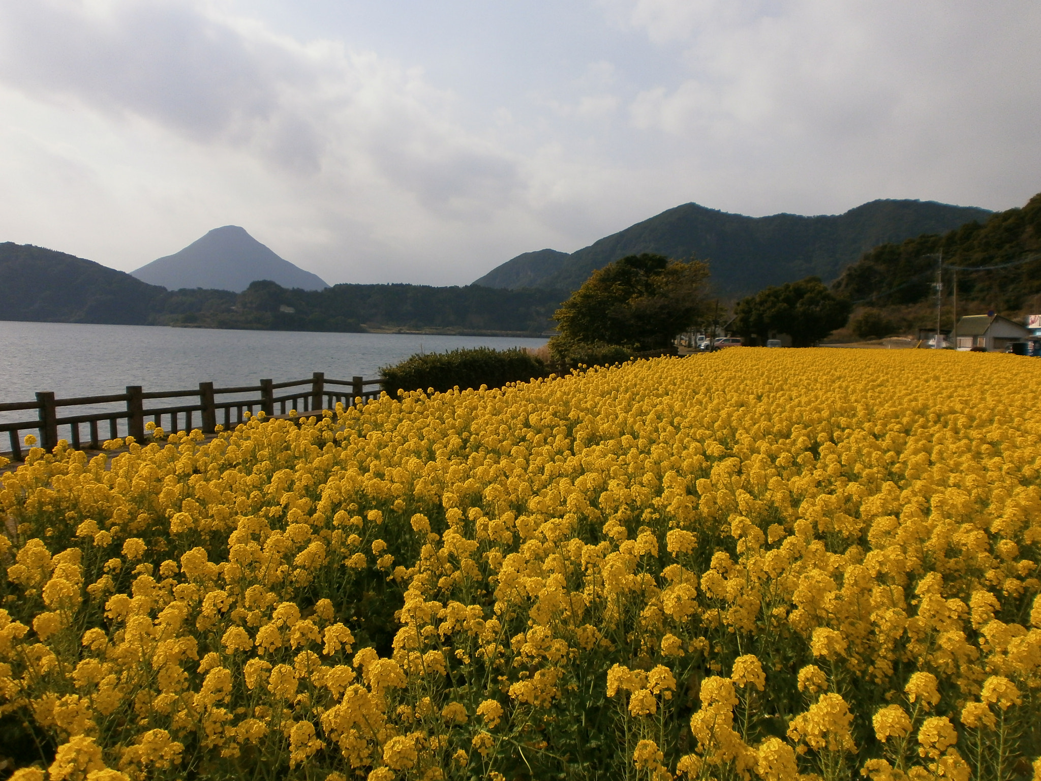 Olympus VG110,D700 sample photo. Lake ikedako & mt. kaimondake photography