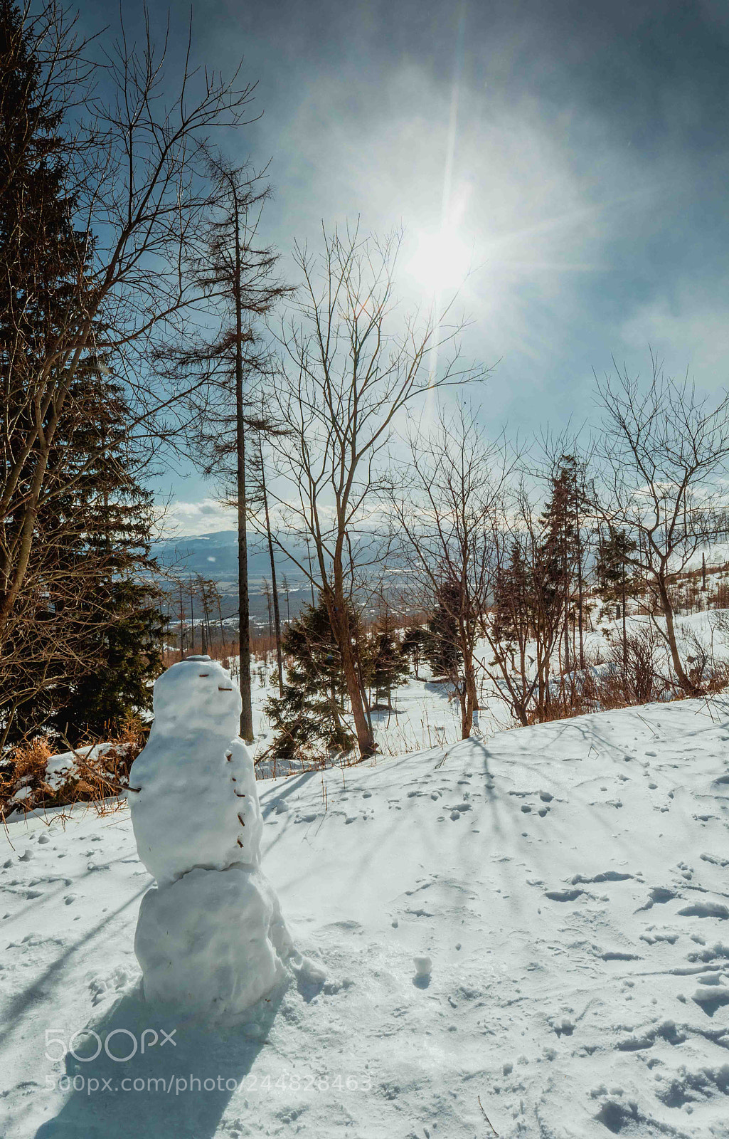 Nikon D7100 sample photo. Snowman photography