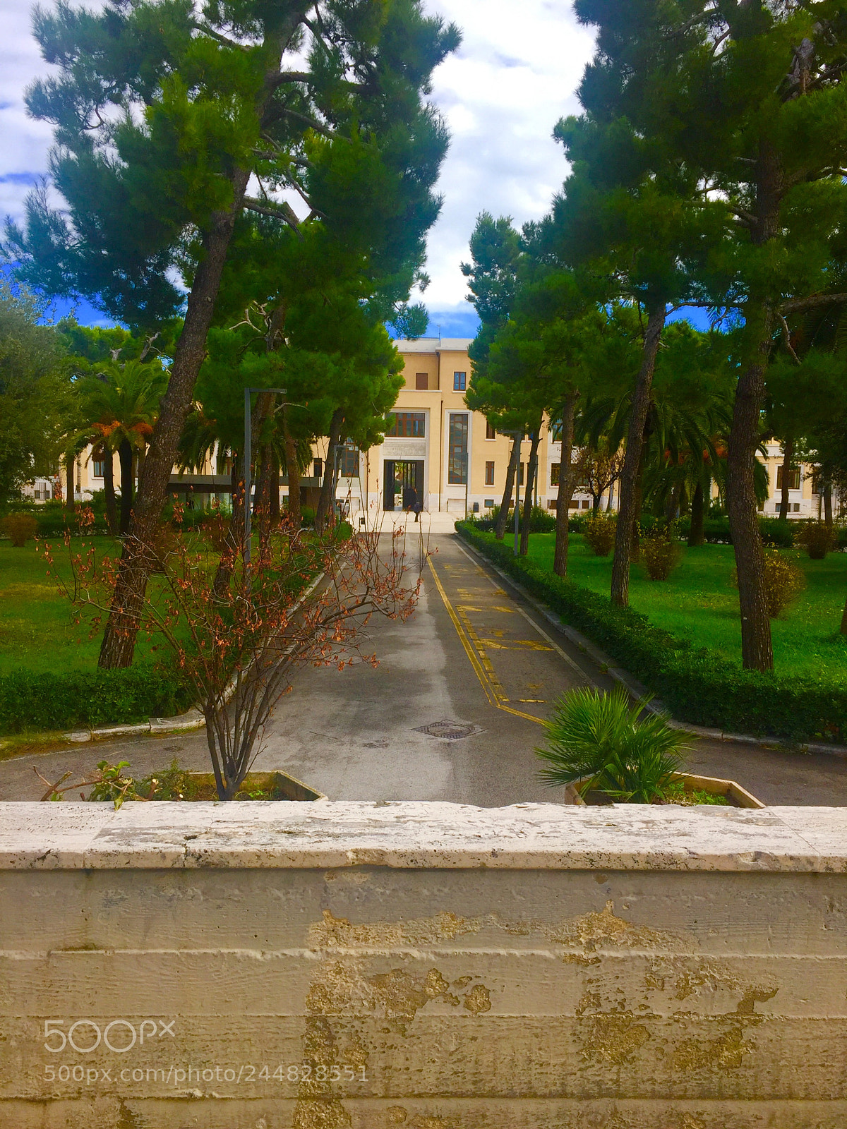 Apple iPhone 6 sample photo. Untitled photography