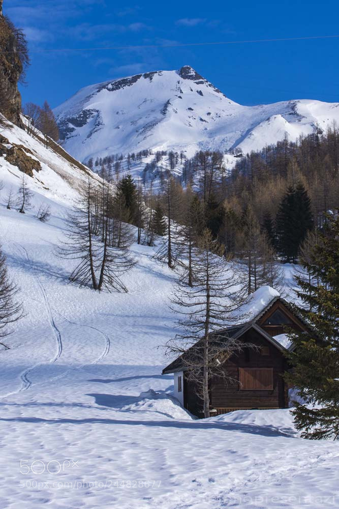 Nikon D7200 sample photo. Alpe devero photography