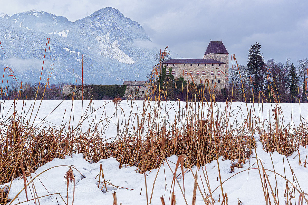 Sony SLT-A68 sample photo. Winter at the castle photography