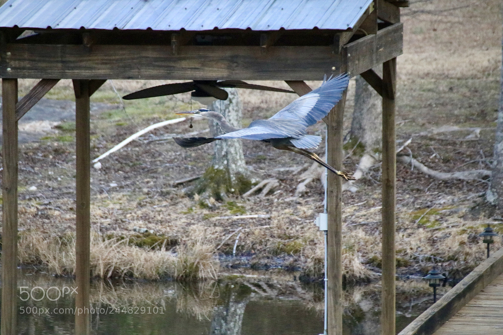 Canon EOS 760D (EOS Rebel T6s / EOS 8000D) sample photo. Up up and away photography
