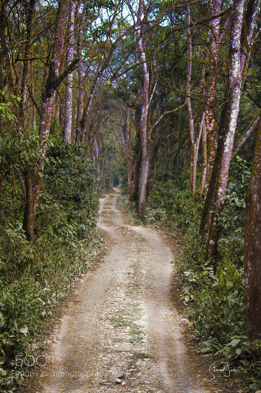 Canon EOS 7D Mark II sample photo. Journey photography