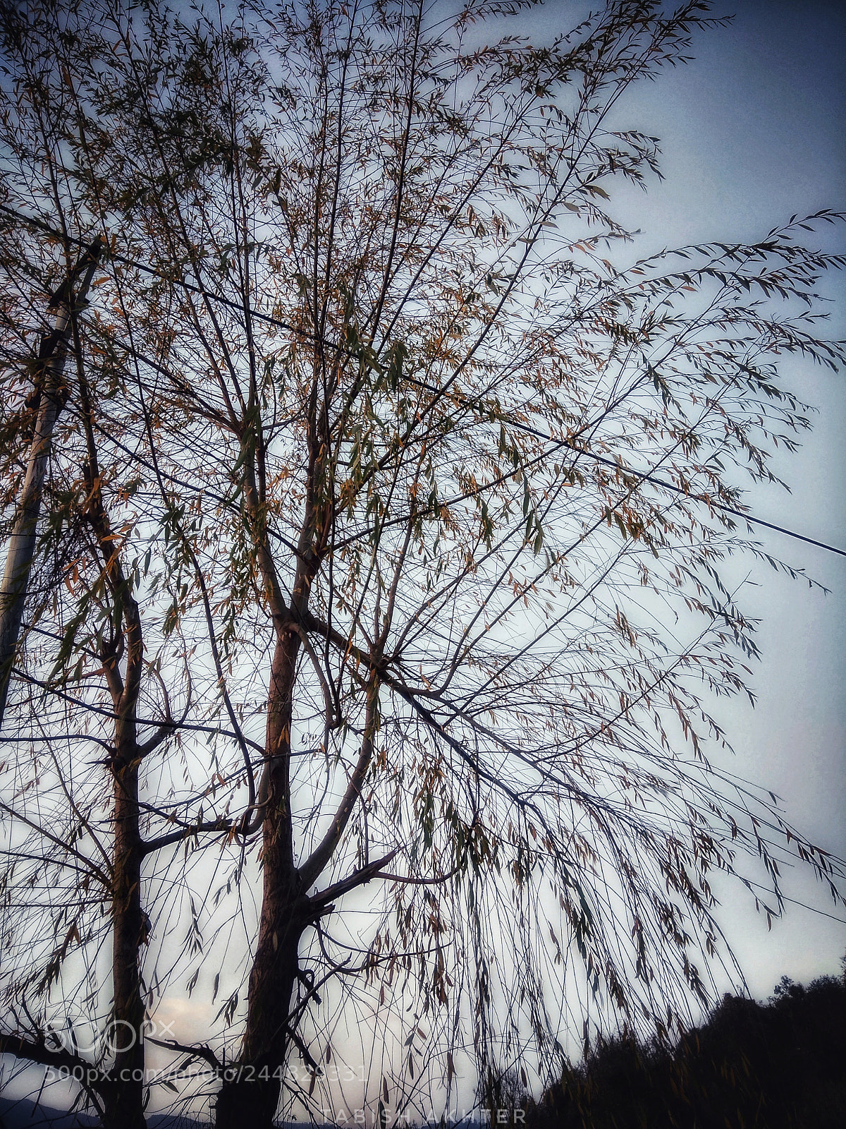 Xiaomi Redmi Note 4 sample photo. Untitled photography