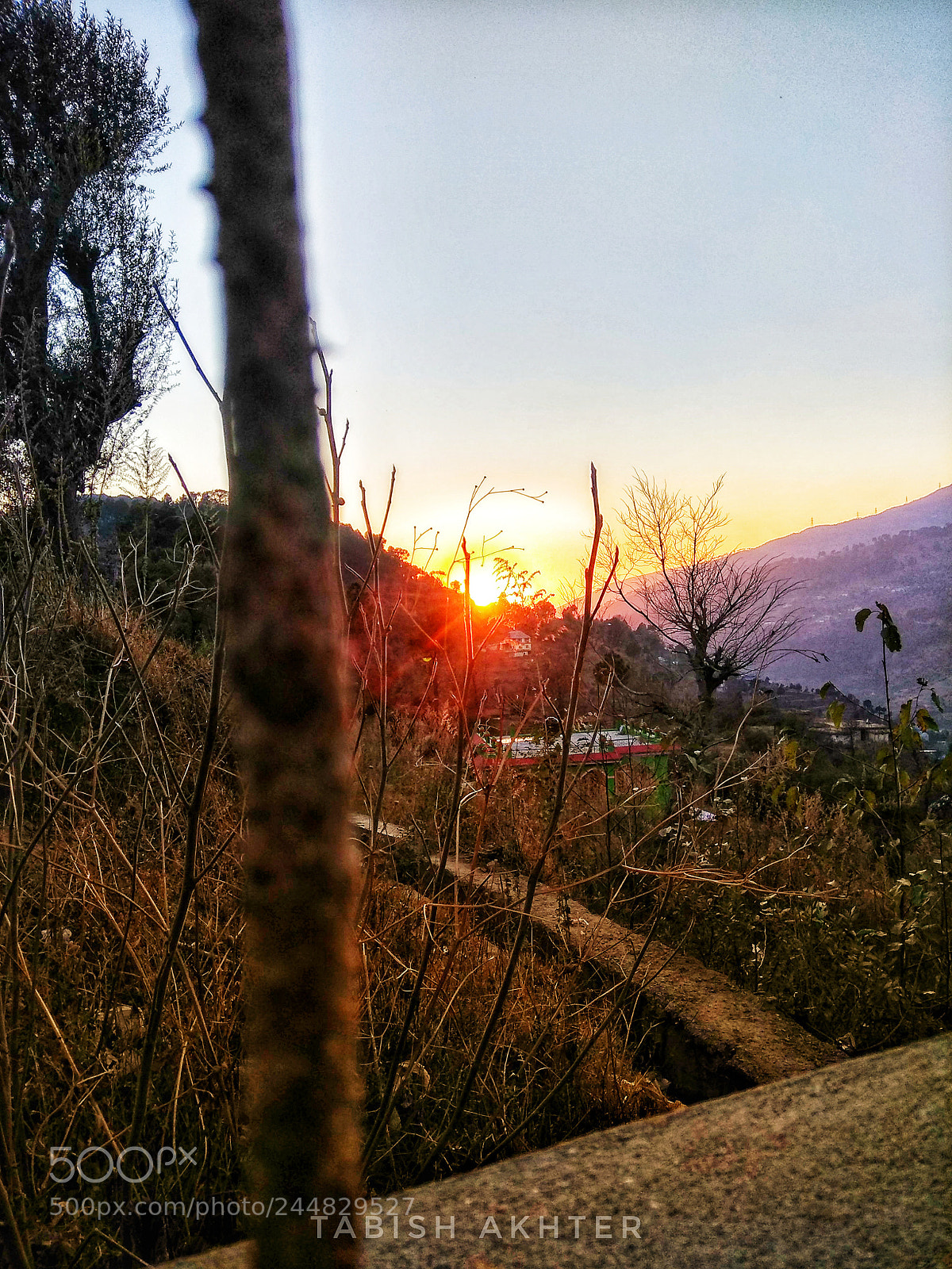 Xiaomi Redmi Note 4 sample photo. Untitled photography