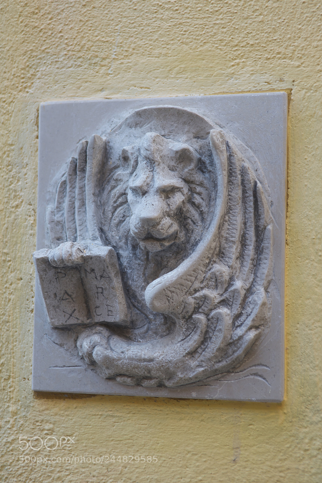 Nikon D800 sample photo. Winged lion photography