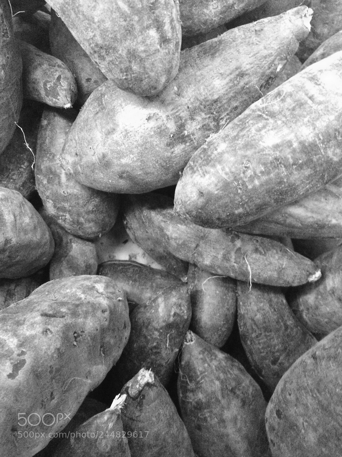 Apple iPhone 5s sample photo. Grounded yam photography