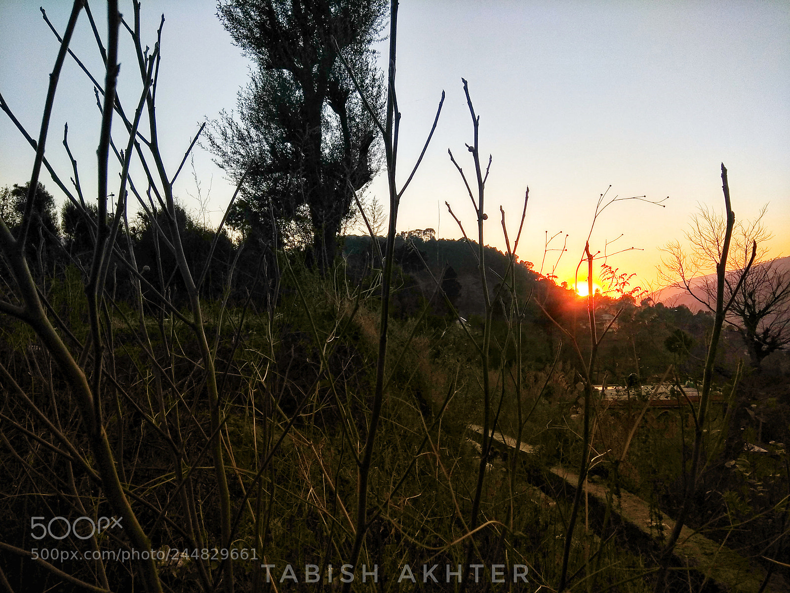 Xiaomi Redmi Note 4 sample photo. Untitled photography
