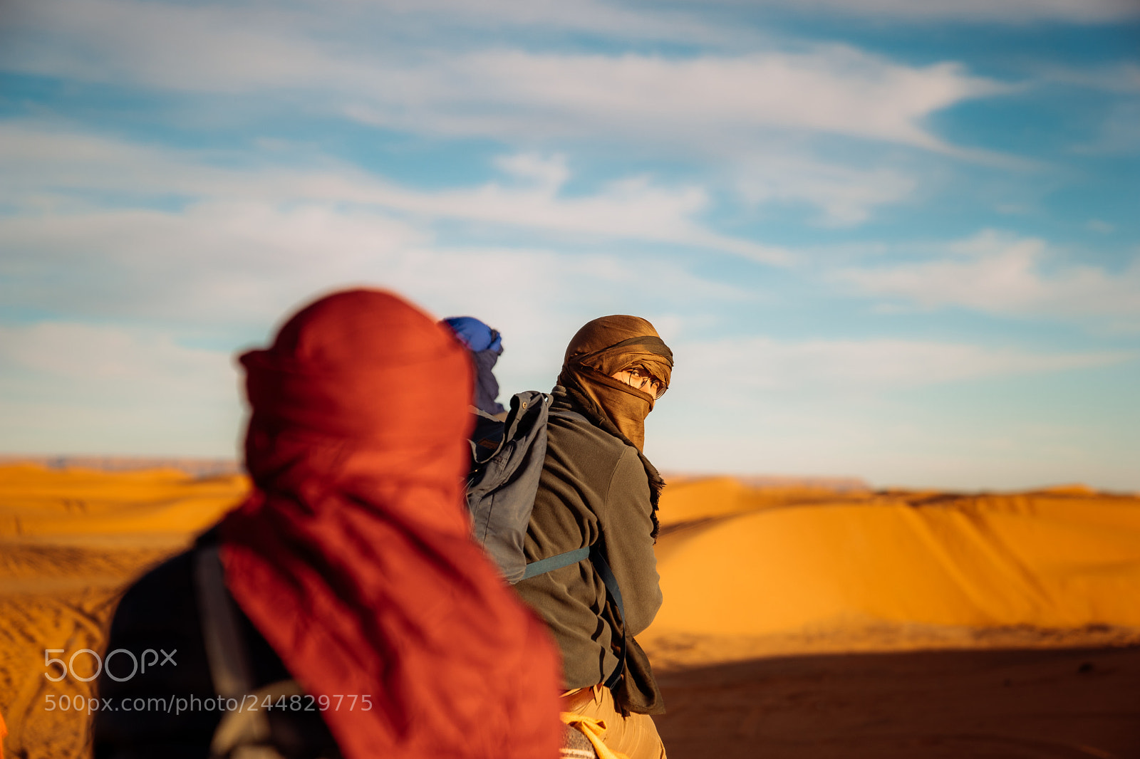 Sony a7 II sample photo. Spotted in the sahara photography