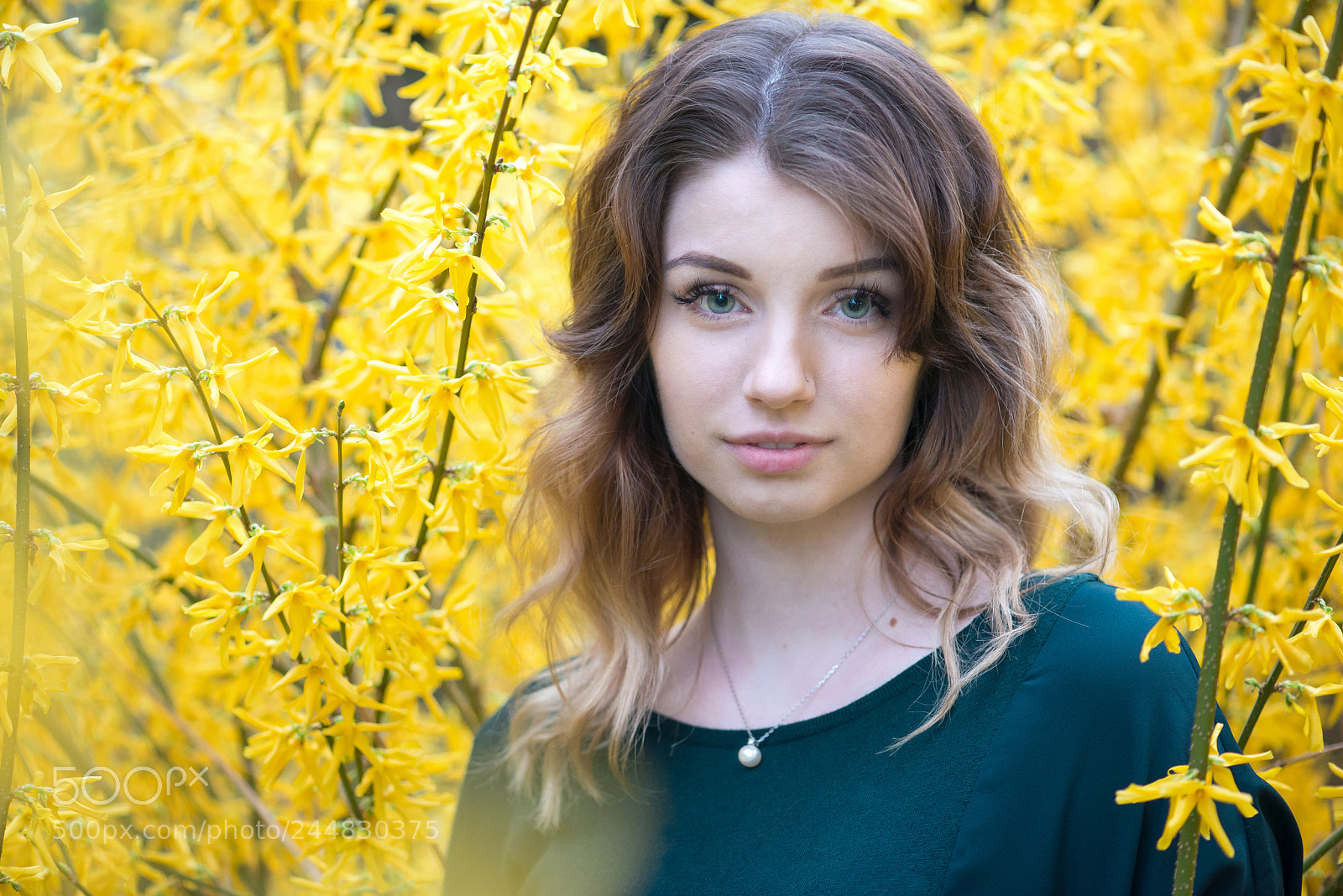 Nikon D800 sample photo. Backyard garden senior portrait photography