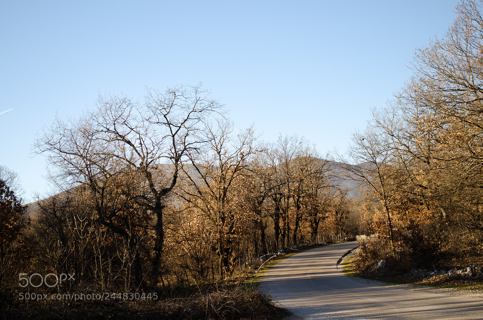 Nikon D5100 sample photo. Neuspjeli pokusaj slikavanja sume photography