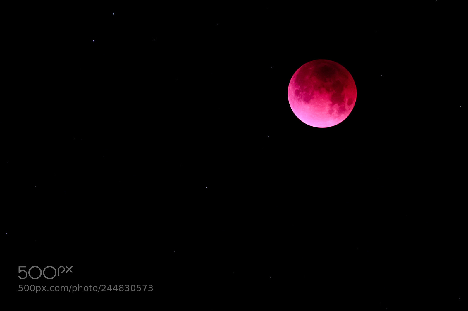 Fujifilm X-Pro2 sample photo. Super blue moon photography