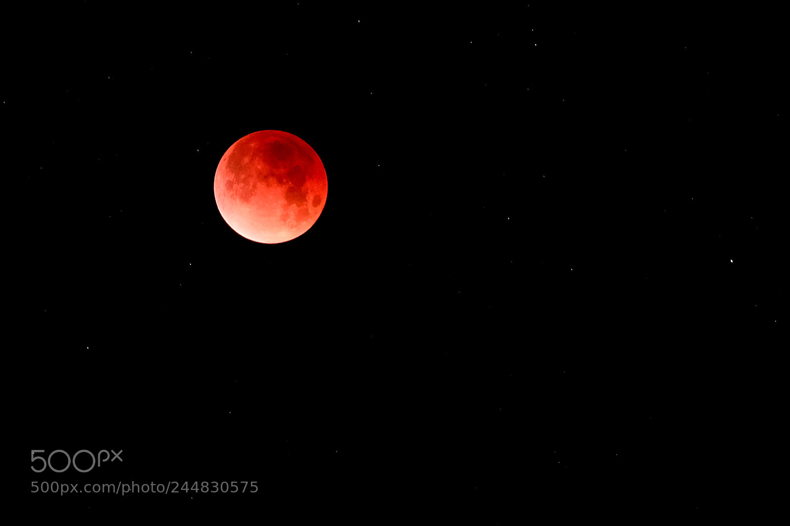 Fujifilm X-Pro2 sample photo. Super blue moon photography