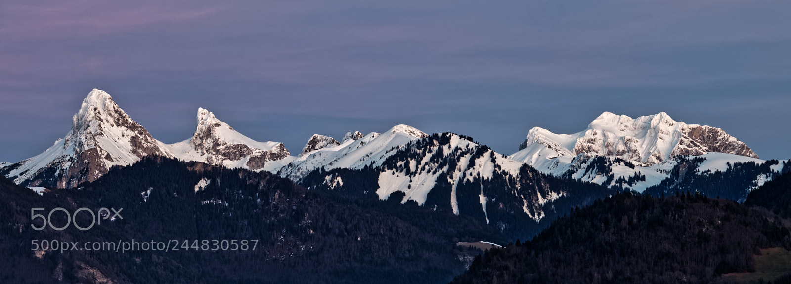 Sony Cyber-shot DSC-RX10 III sample photo. Dent d'oche et cornettes photography
