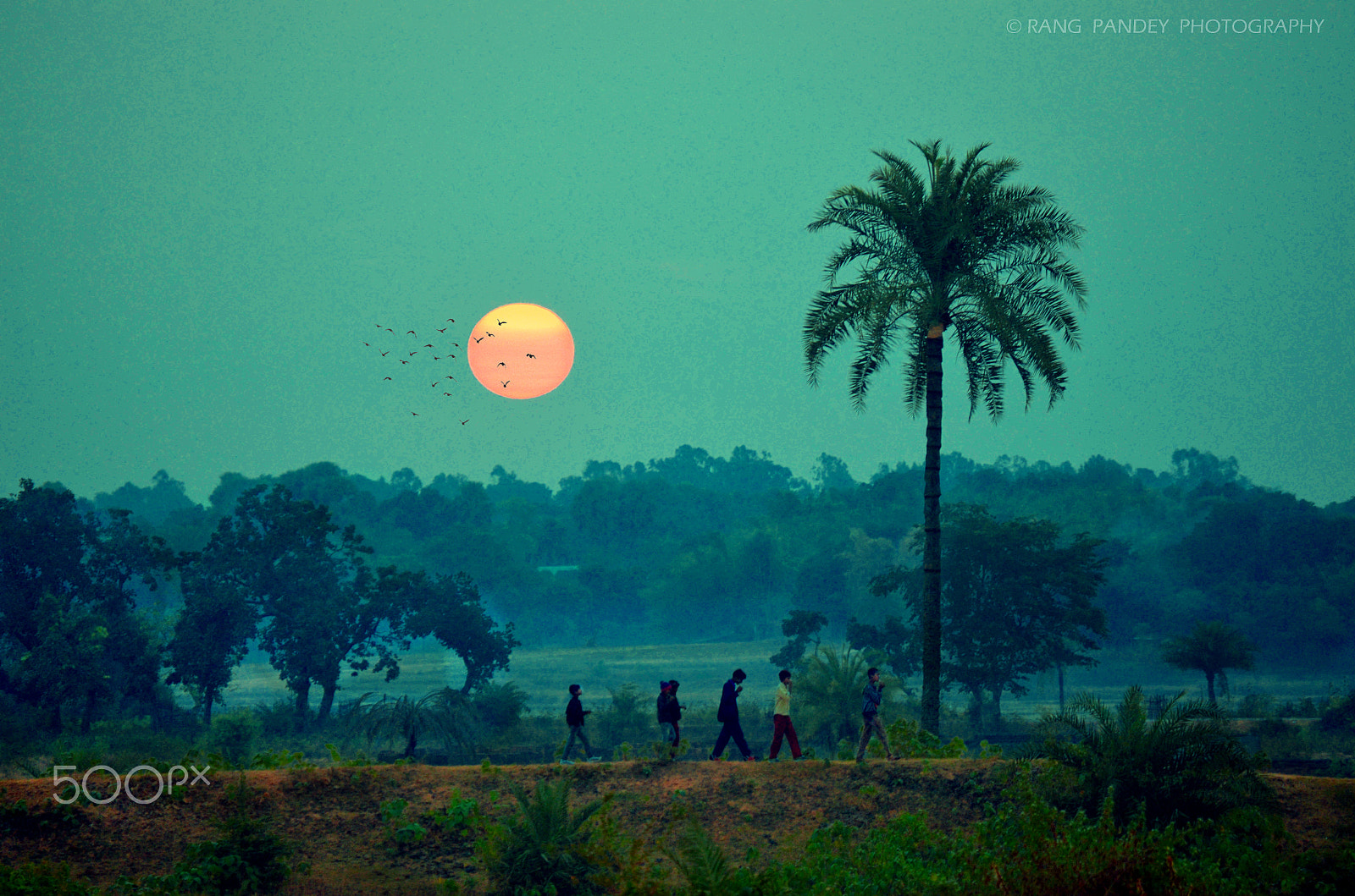 Nikon D5100 sample photo. Morning walk photography