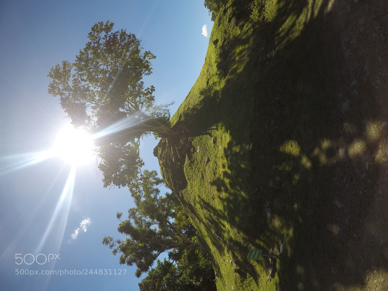 GoPro Hero5 Black sample photo. Untitled photography
