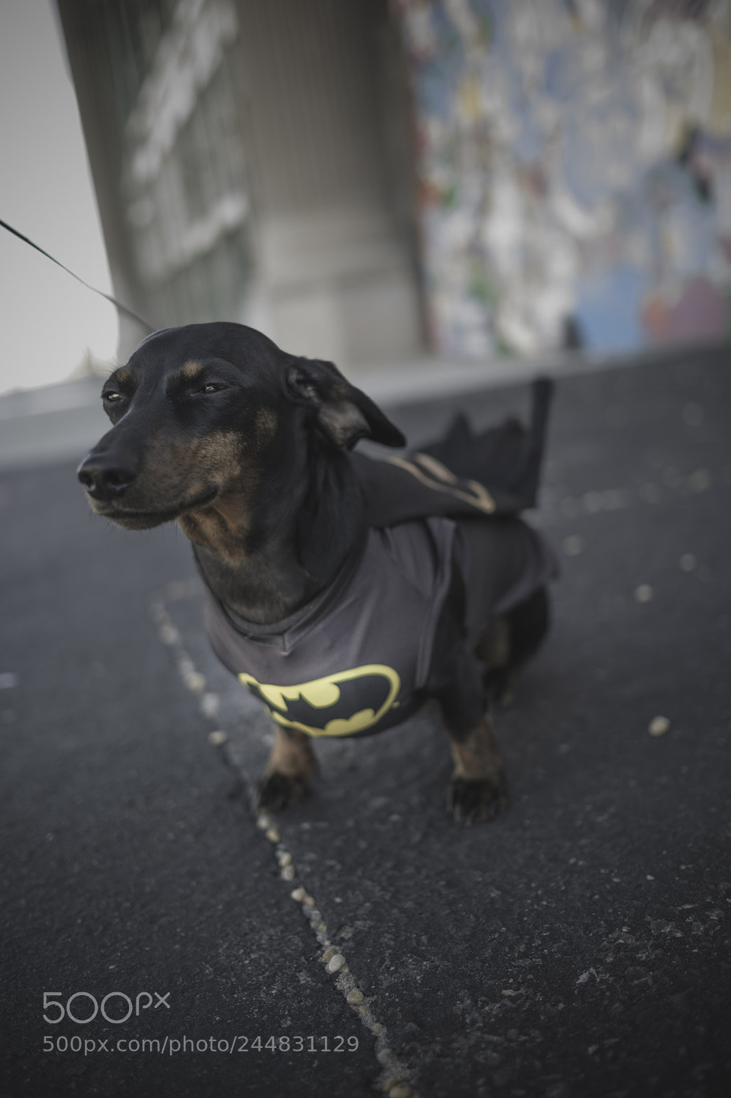 Fujifilm X-T2 sample photo. Justice photography