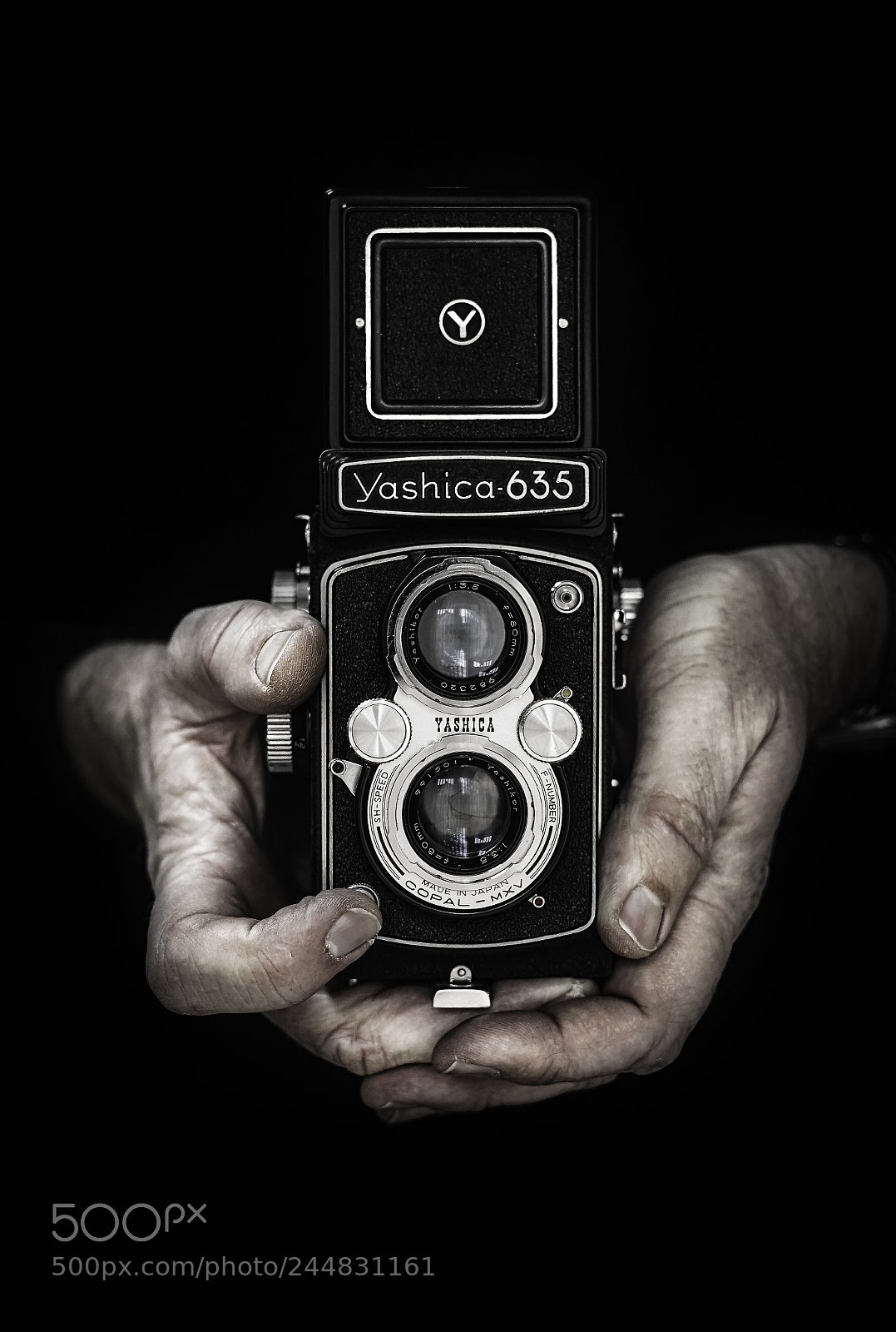 Sony a7 II sample photo. Yashica 635 photography