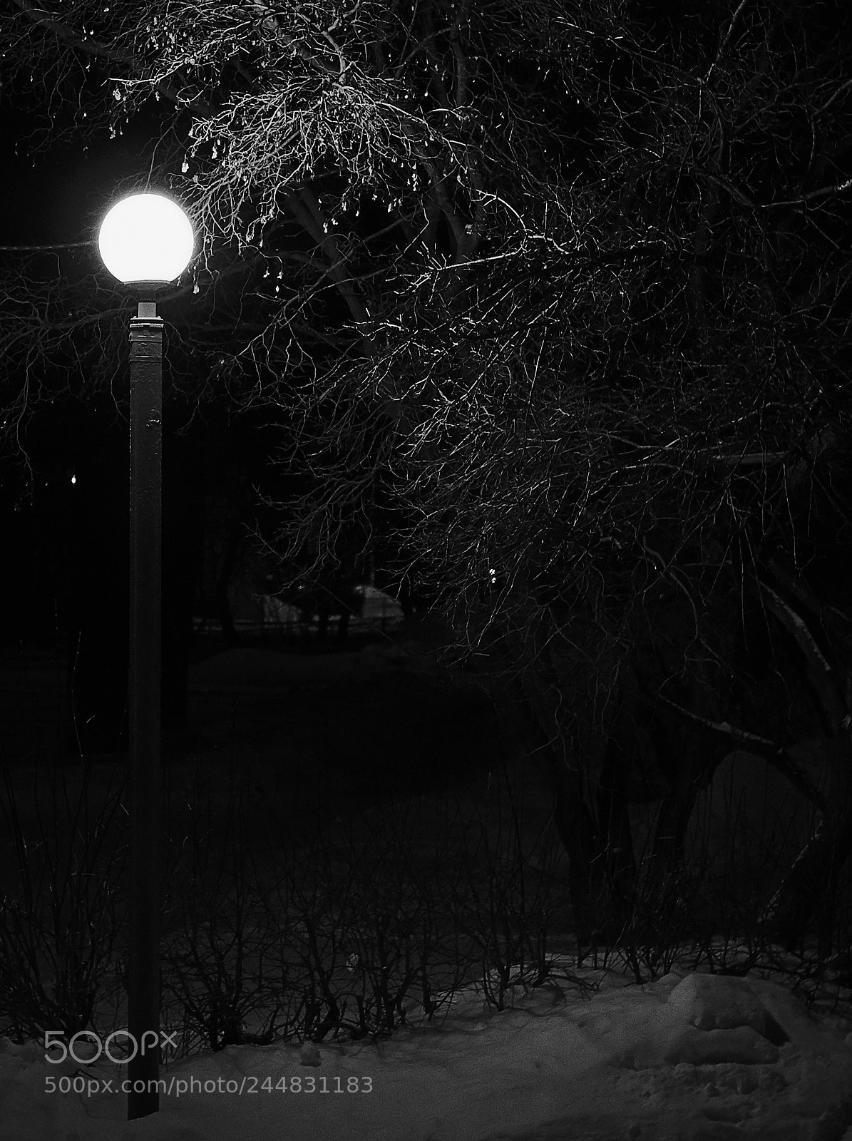 Canon EOS 1300D (EOS Rebel T6 / EOS Kiss X80) sample photo. Lantern photography