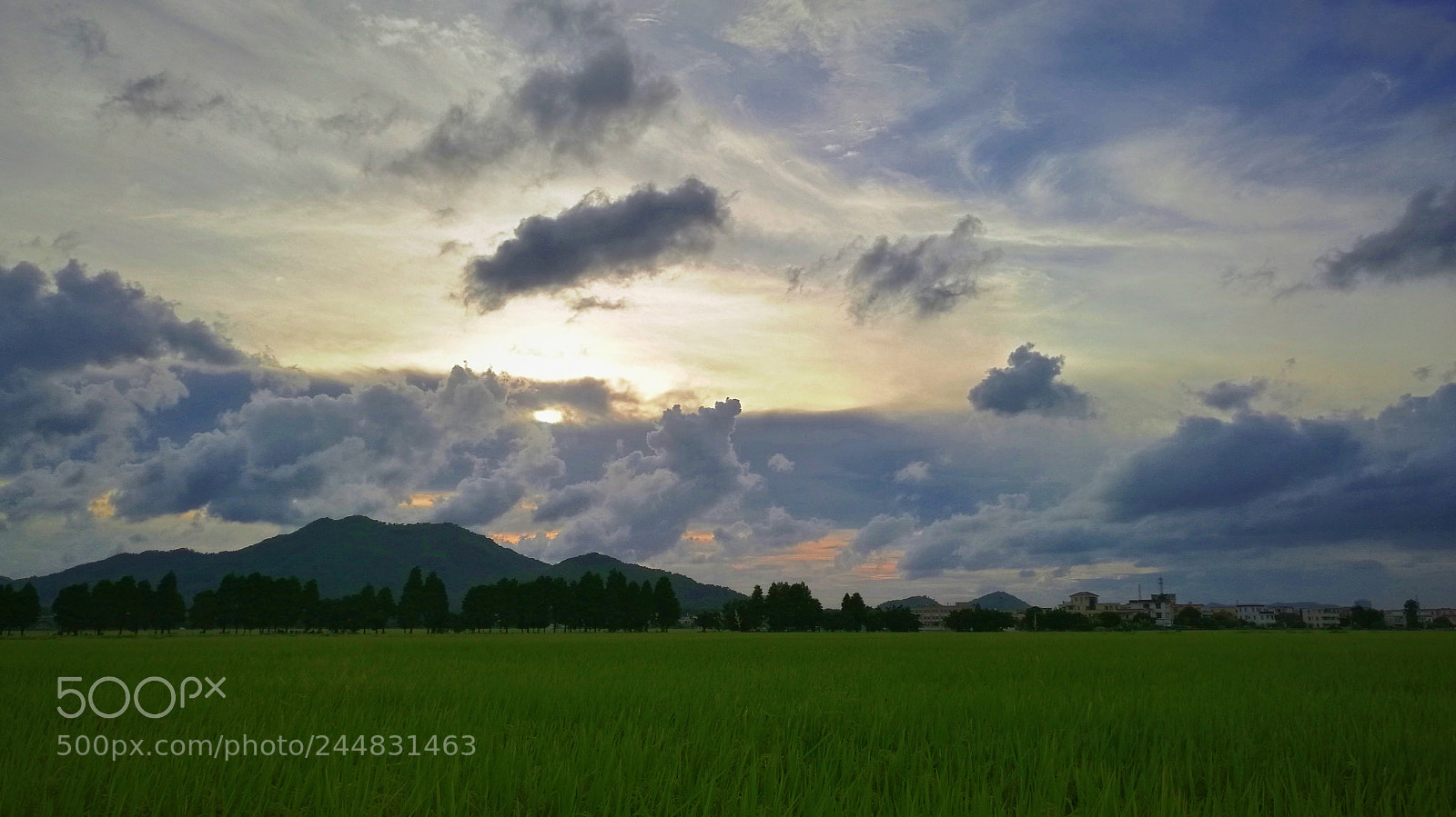 HUAWEI Mate 8 sample photo. Untitled photography