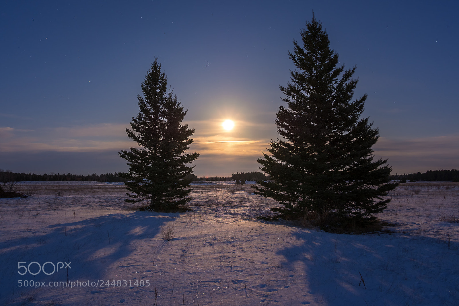 Olympus OM-D E-M5 sample photo. Winter glow photography