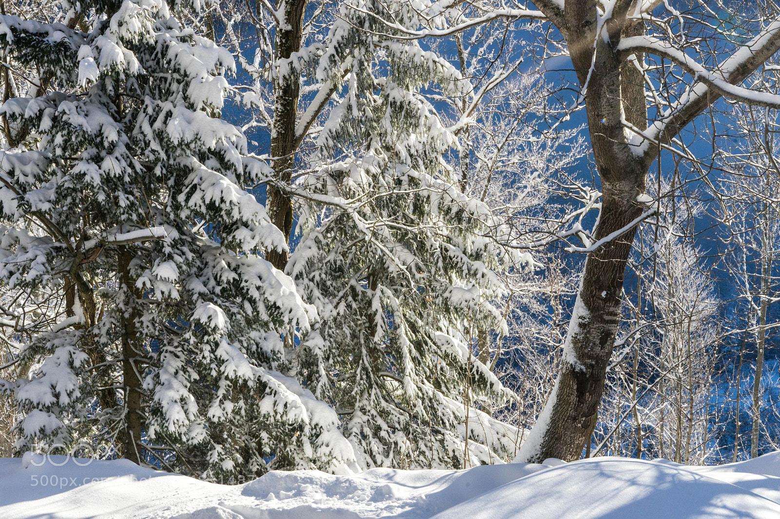 Sony a7 sample photo. Morning winter photography