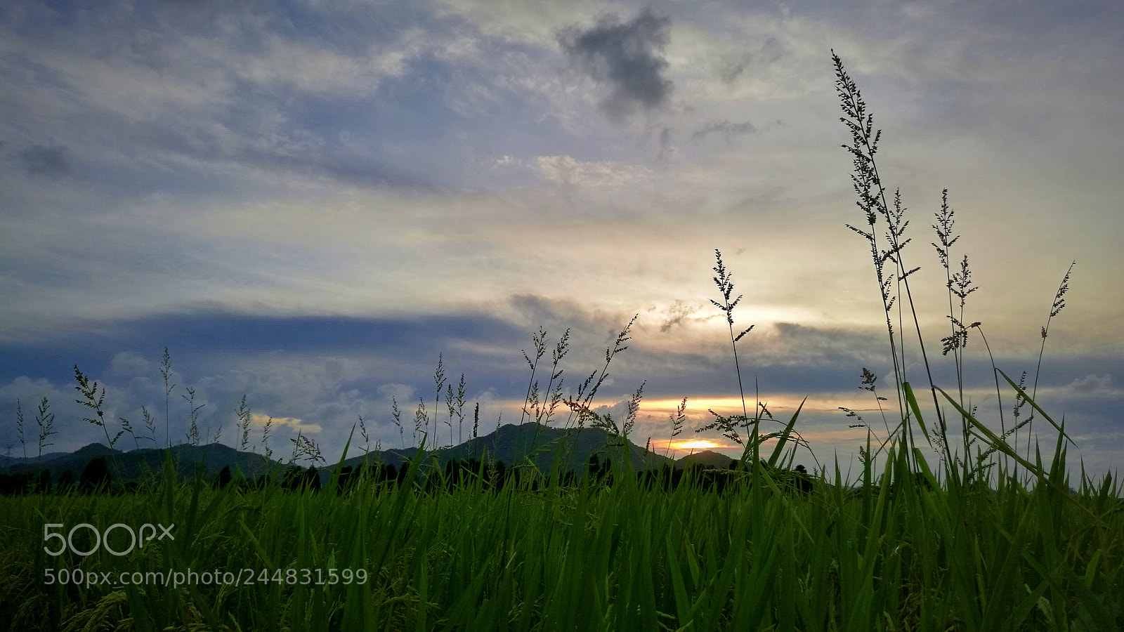 HUAWEI Mate 8 sample photo. Untitled photography