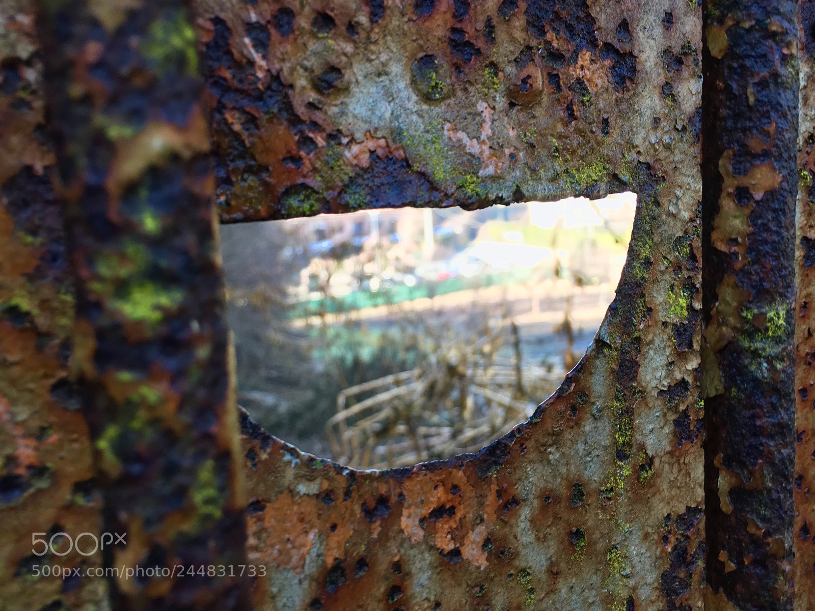 Apple iPhone 6s sample photo. Untitled photography