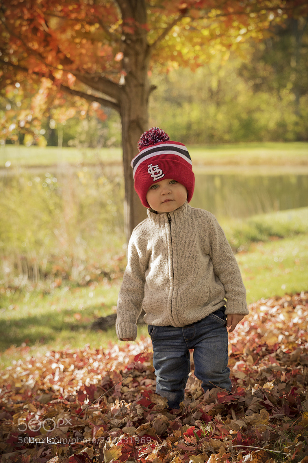 Canon EOS 7D Mark II sample photo. Fall 2017 jtk photography
