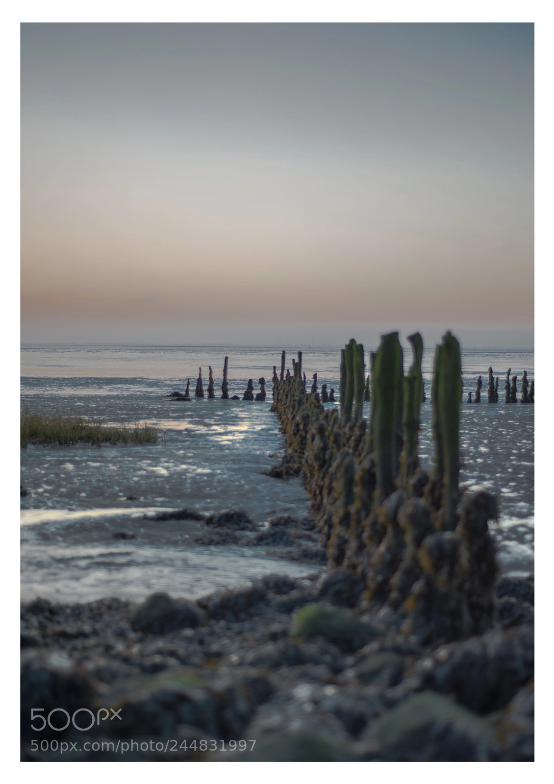 Nikon D800E sample photo. Nordsee und watt oder photography
