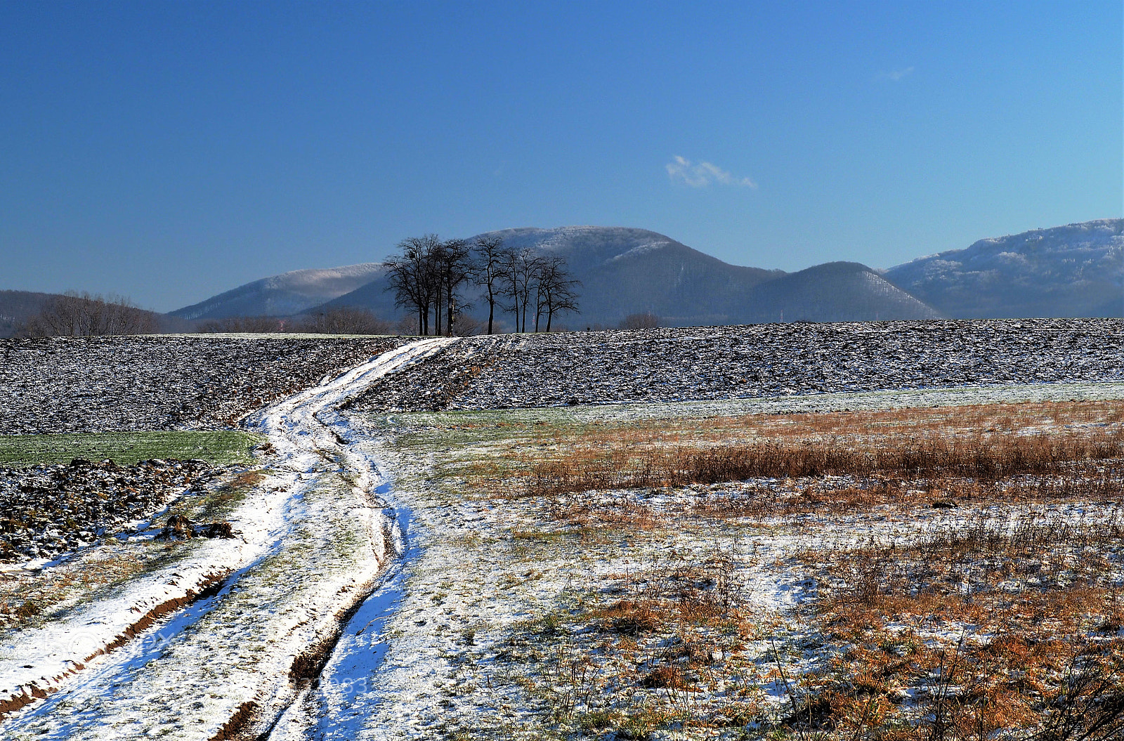 Olympus OM-D E-M10 sample photo. Winter landscape photography