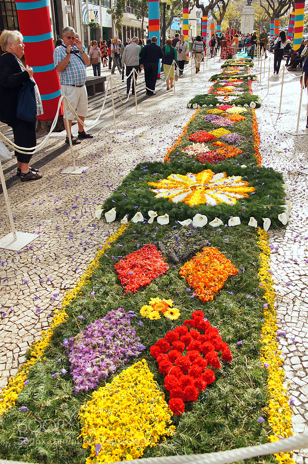 Sony Alpha DSLR-A580 sample photo. Blumenfest madeira photography