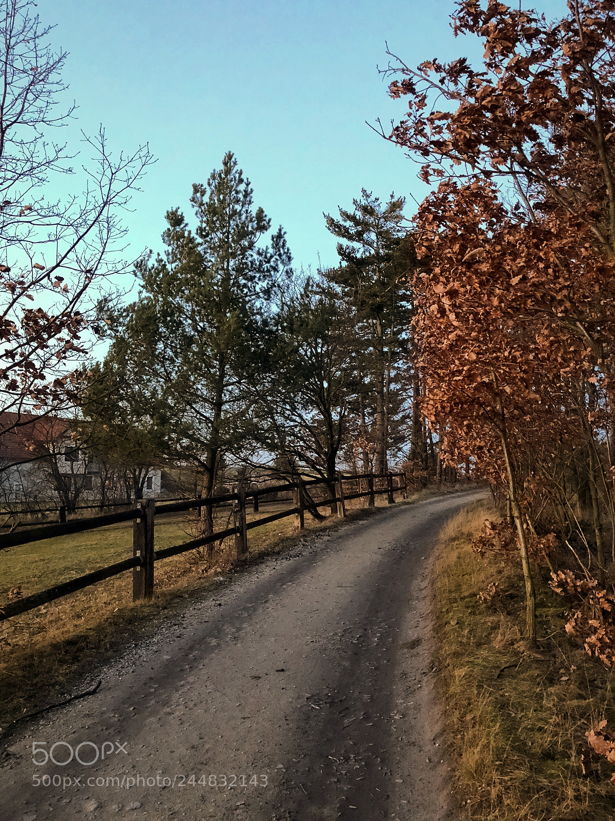 Apple iPhone 8 Plus sample photo. 7.jpg photography