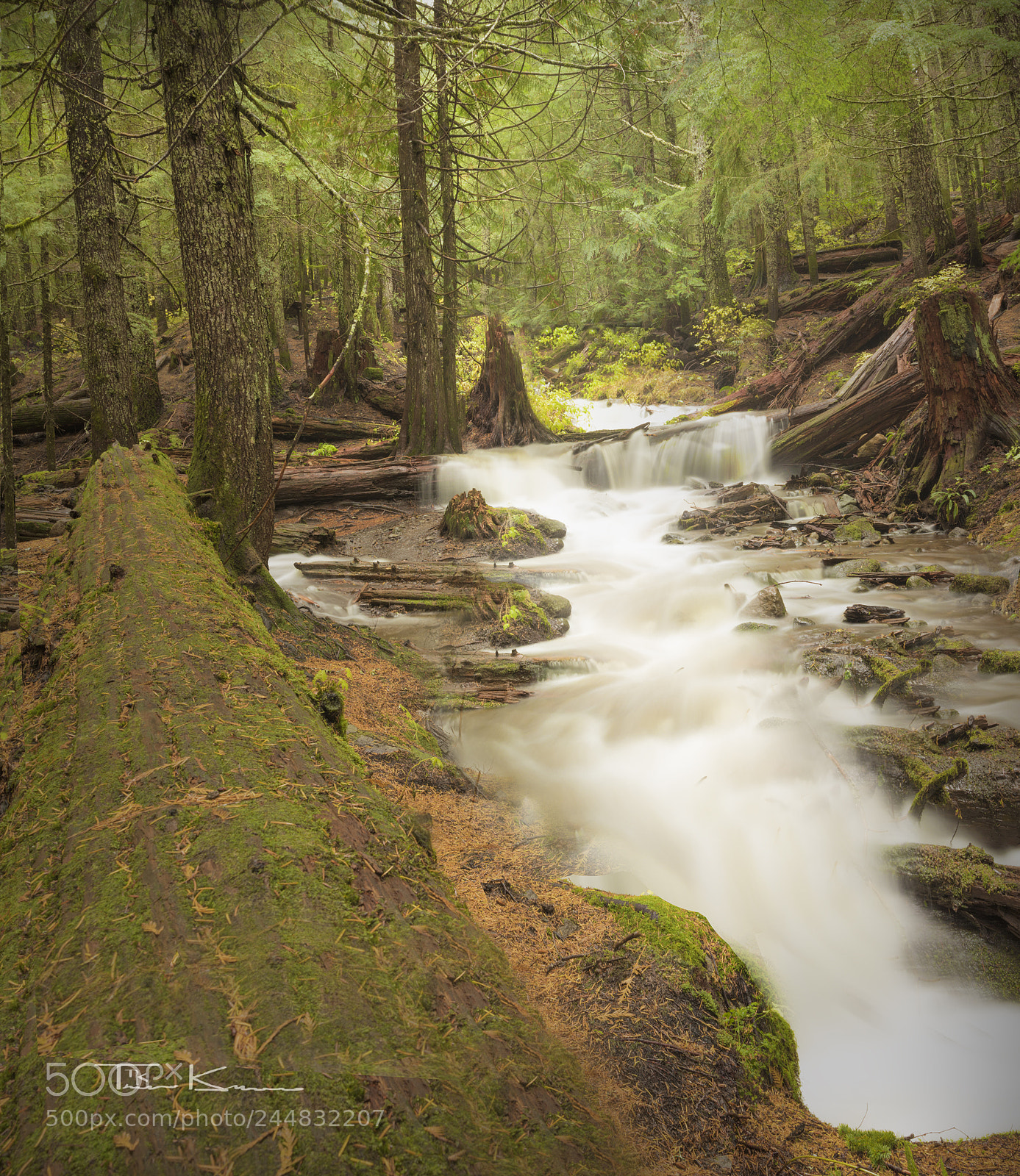 Canon EOS 7D Mark II sample photo. Mt. hood trail ii 2017 photography