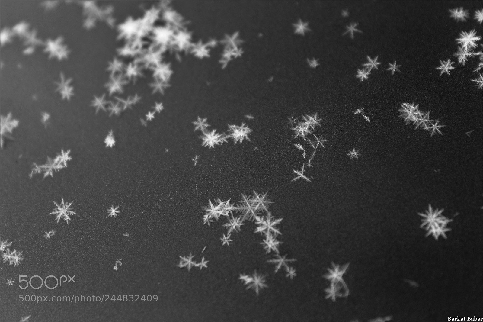 Canon EOS 1100D (EOS Rebel T3 / EOS Kiss X50) sample photo. "snowflakes" photography