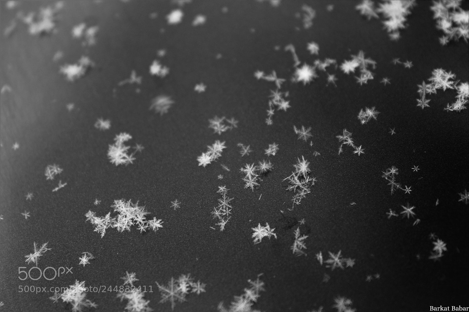 Canon EOS 1100D (EOS Rebel T3 / EOS Kiss X50) sample photo. "snowflakes" photography