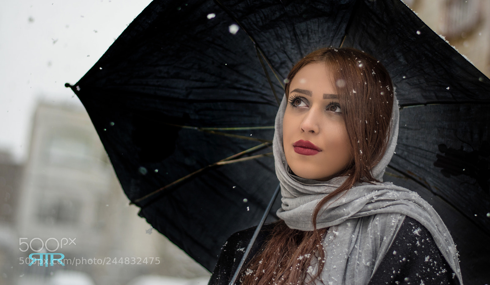 Nikon D5500 sample photo. Winter photography