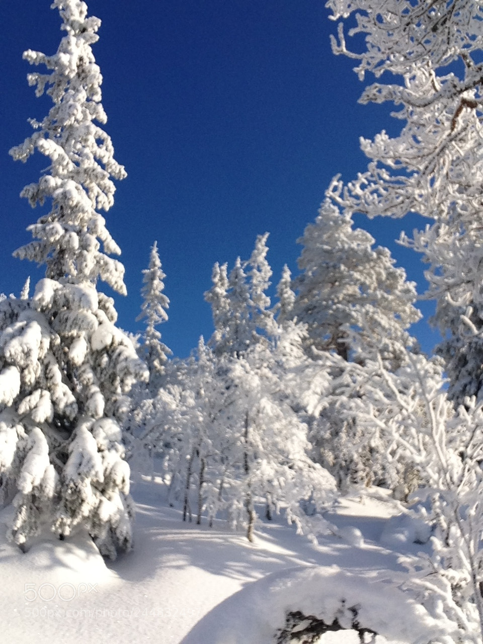 Apple iPhone 5 sample photo. North of sweden. snow photography