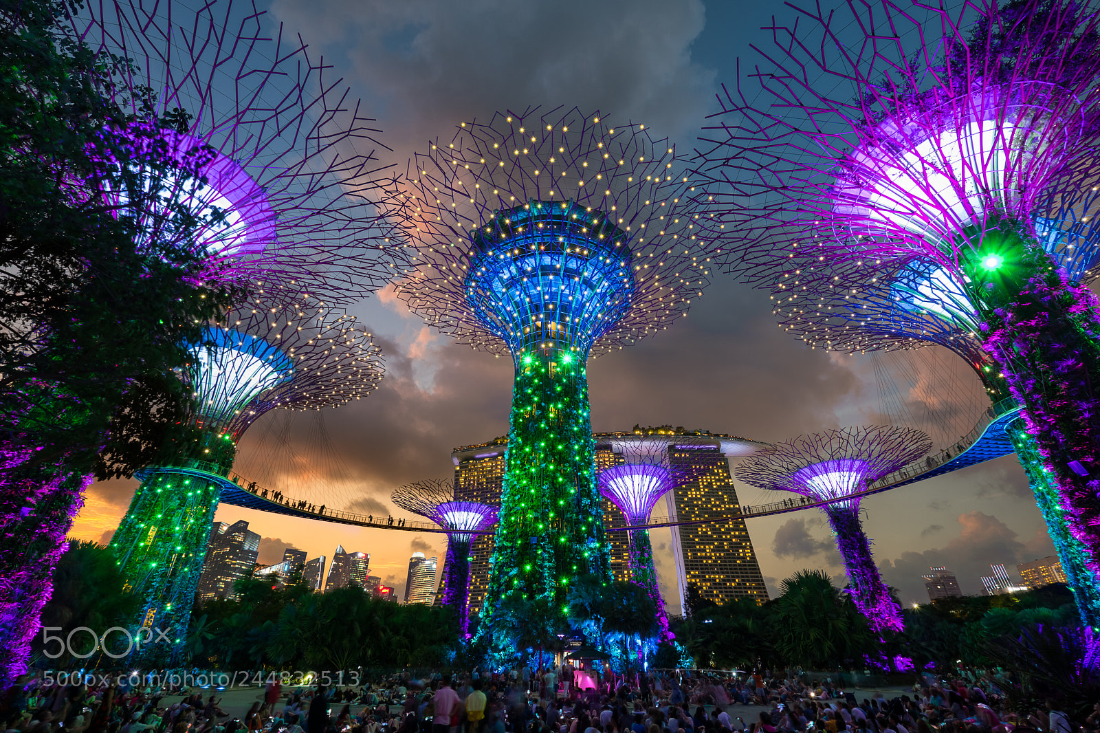 Fujifilm X-T2 sample photo. Gardens by the bay photography
