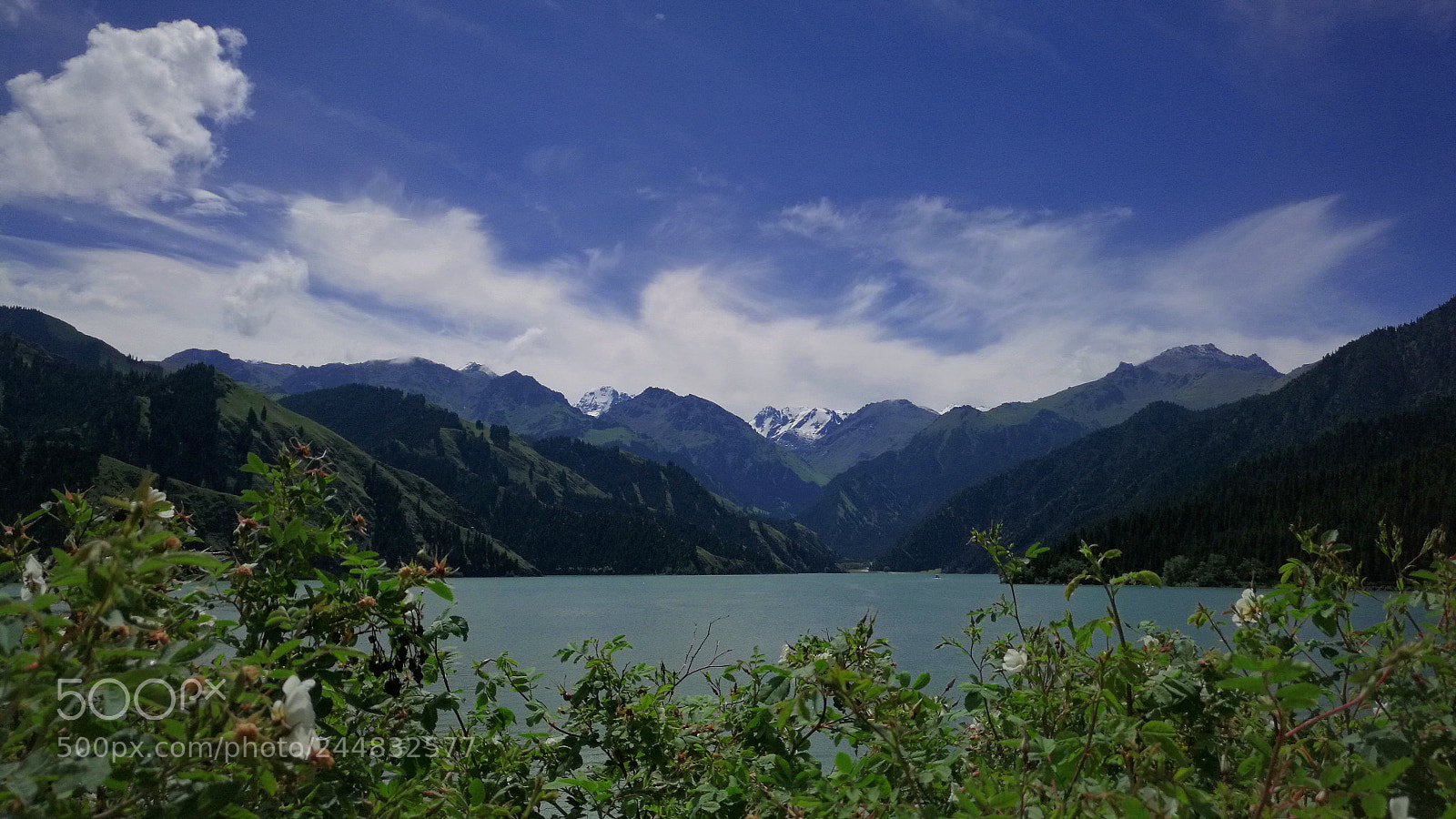 HUAWEI Mate 8 sample photo. Untitled photography