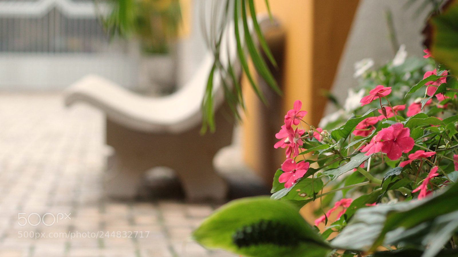 Canon EOS 1200D (EOS Rebel T5 / EOS Kiss X70 / EOS Hi) sample photo. Untitled photography