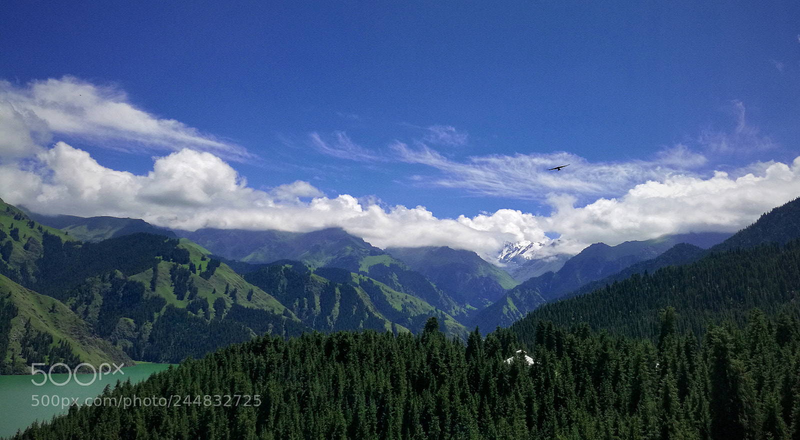 HUAWEI Mate 8 sample photo. Untitled photography